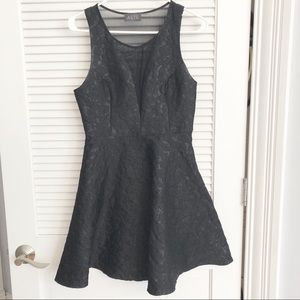 Fit And Flare ASTR Dress